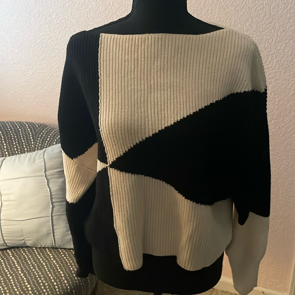 Express black and white sweater